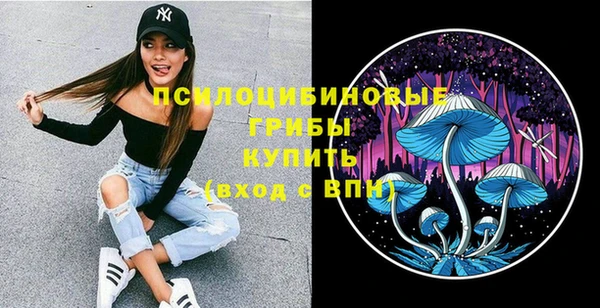 бошки Дмитров