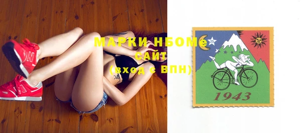 мет Ельня