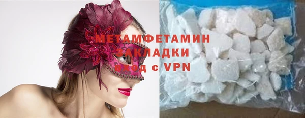 индика Елизово