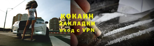 индика Елизово