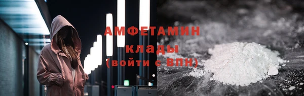 индика Елизово