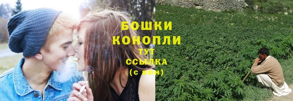 индика Елизово