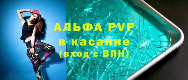 мет Ельня