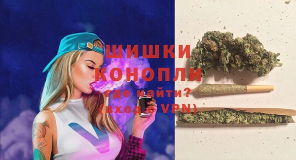 мет Ельня
