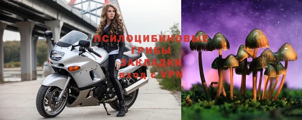 бошки Дмитров