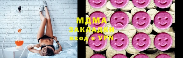 индика Елизово