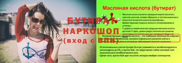 индика Елизово
