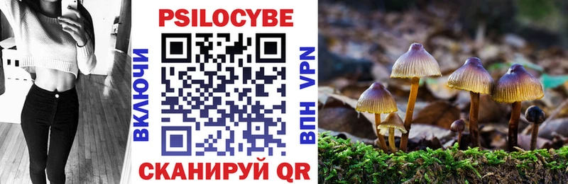 Купить  Высоковск  Псилоцибиновые грибы Cubensis 